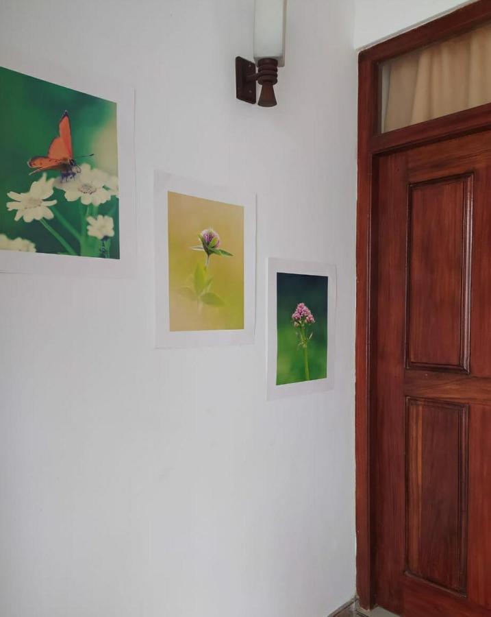 River Side Holiday Inn Weligama Zewnętrze zdjęcie